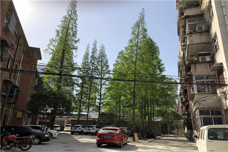 君瑞城洋房好楼层采光刺眼车位储藏室另算！好房速联.